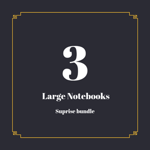 Large Notebooks Suprise Bundle