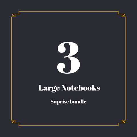 Large Notebooks Suprise Bundle