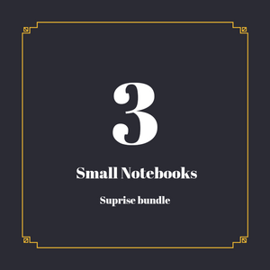 Small Notebook Suprise Bundle
